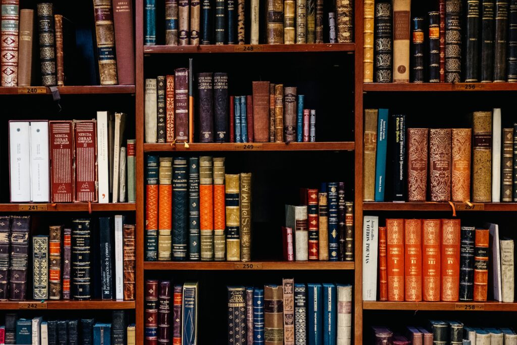 bibliothek mit büchern